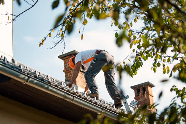 Roof Insulation Installation in Fort Stockton, TX